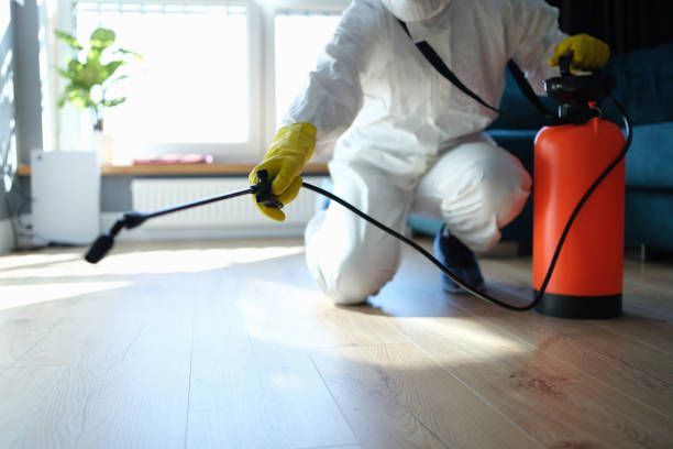 Reliable Hoarding Cleanup contractor in Ellis Grove, IL by Trauma Clean Pros
